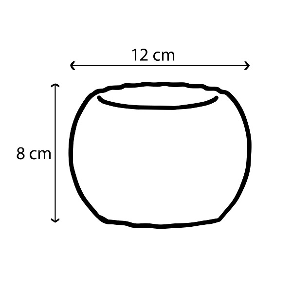Set De Macetas Minimalistas Para Interior Suculenta Cactus