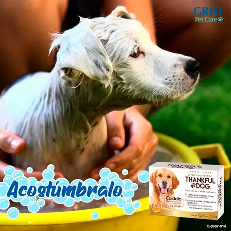 Thankful Dog Jabón Con Avena De Grisi 100 Gr