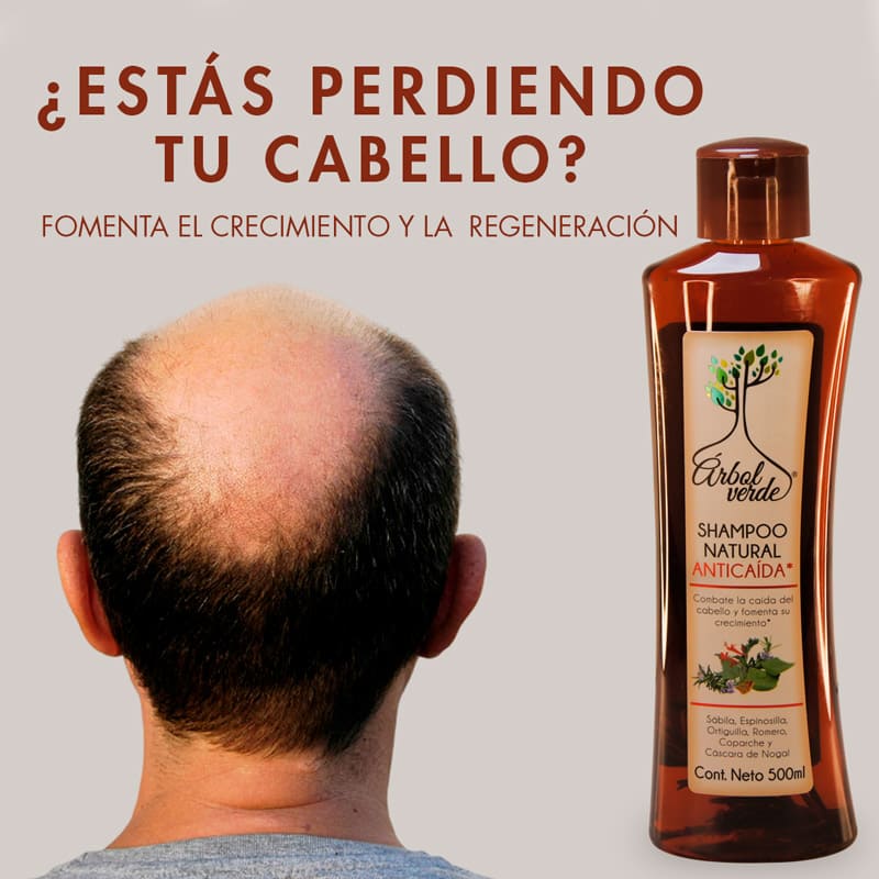 Shampoo Natural Árbol Verde Anticaída De Romero y Sábila 500ml