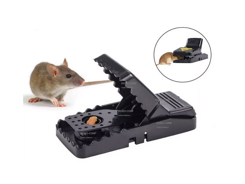 6 Trampas Para Ratones Dentada, De Golpe, Plástico Abs, Facil De Instalar Muy Efectiva, Reusable