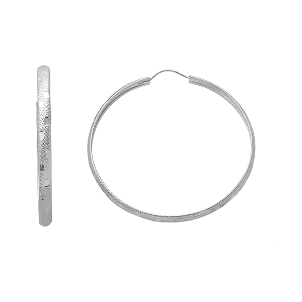 Arracada con Diseño de Serpiente Grande en Plata .925 + Obsequio