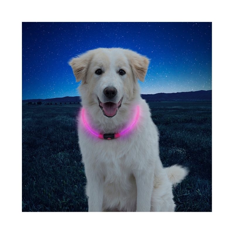 Collar de Seguridad Nite Ize Led Verde Mod.NHO-28-R3