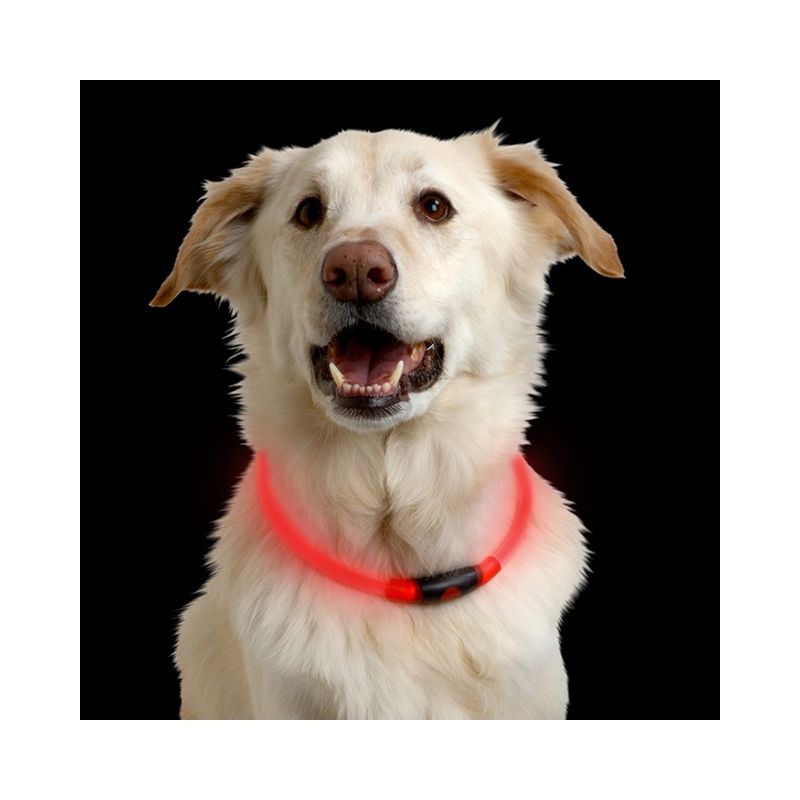Collar de Seguridad Nite Ize Led Verde Mod.NHO-28-R3
