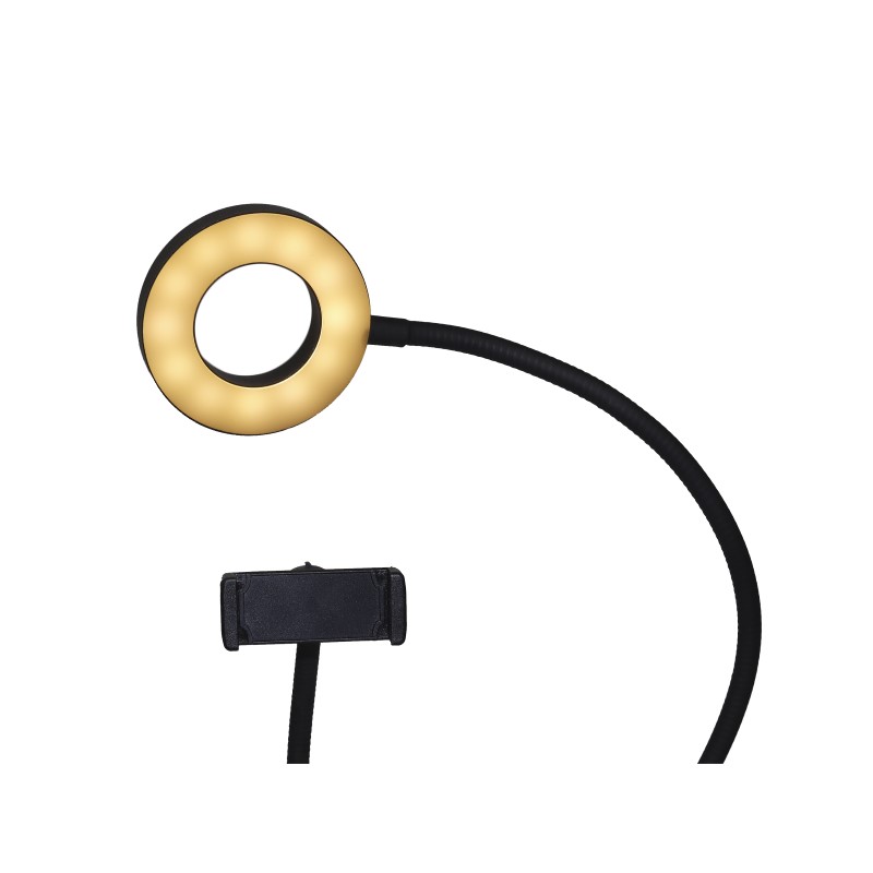 ARO DE LUZ con Selfie Stick TIK TOK