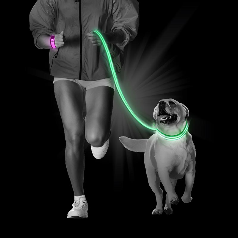 Correa Led Para Perro - Glow Nait - Recargable - Verde