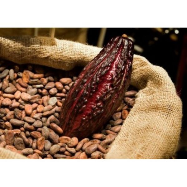 Cacao Puro sin azucar 1 Kg
