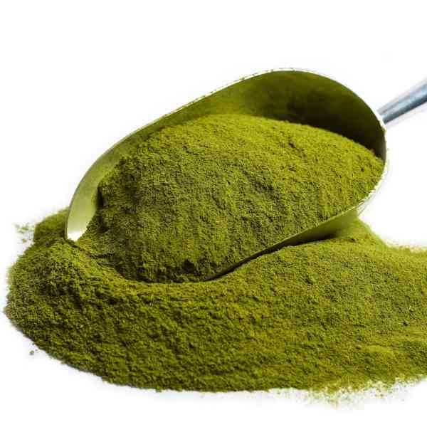 Stevia en Polvo 1 Kg