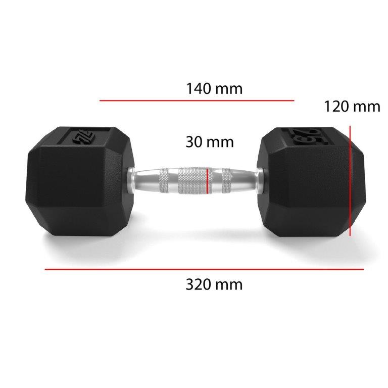 Mancuerna Pesa Hexagonal de Acero 25 LB (11,33 kg)