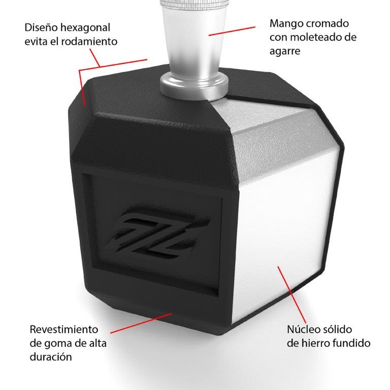 Mancuerna Pesa Hexagonal de Acero 20 LB  (9,07 kg)