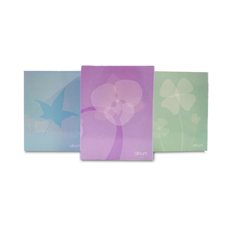 ALBUM 100 FOTOS 6X8.5" 