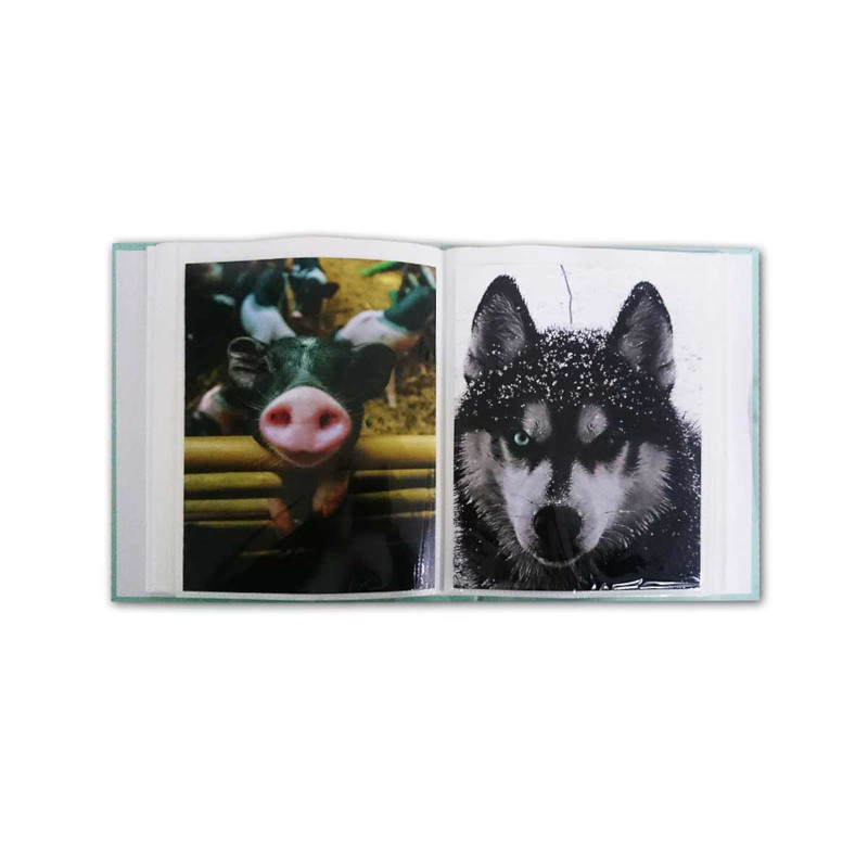 ALBUM 100 FOTOS 6X8.5" 