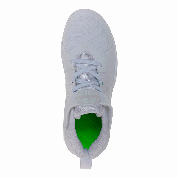 Tenis Nike Niños Team Hustle D 9 (Ps) Blancos AQ4225101