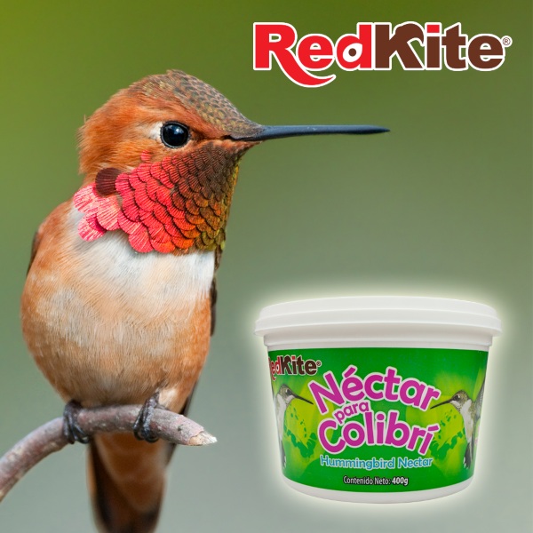 Alimento Nectar Para Colibrí En Polvo 400gr