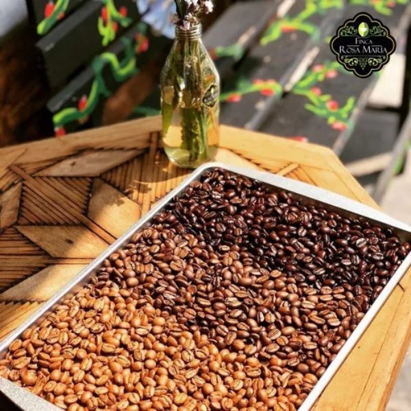 Café De Chiapas Tostado Claro Gourmet Expresso 1Kg