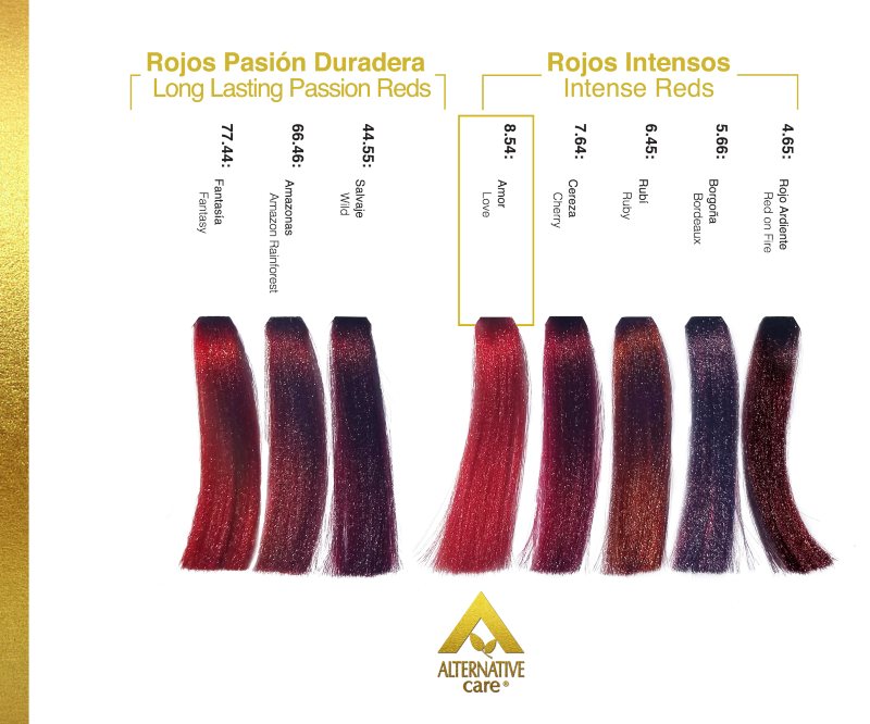 ALTERNATIVE CARE - TINTE NEGROS - ROJO con contenido de 90 g. y OXIDANTE con contenido de 90 ml.