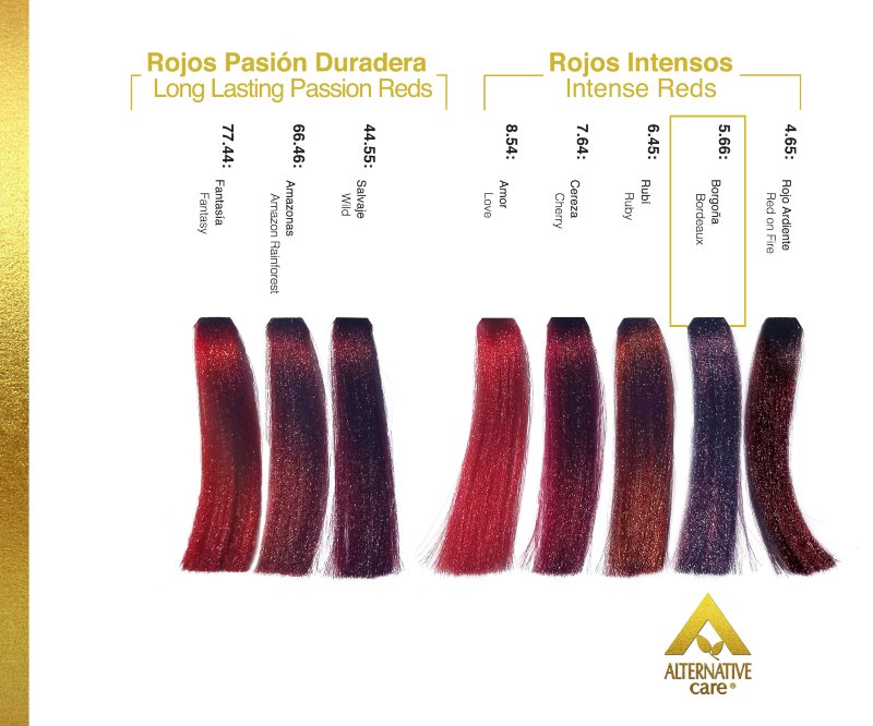 ALTERNATIVE CARE - TINTE NEGROS - ROJO con contenido de 90 g. y OXIDANTE con contenido de 90 ml.