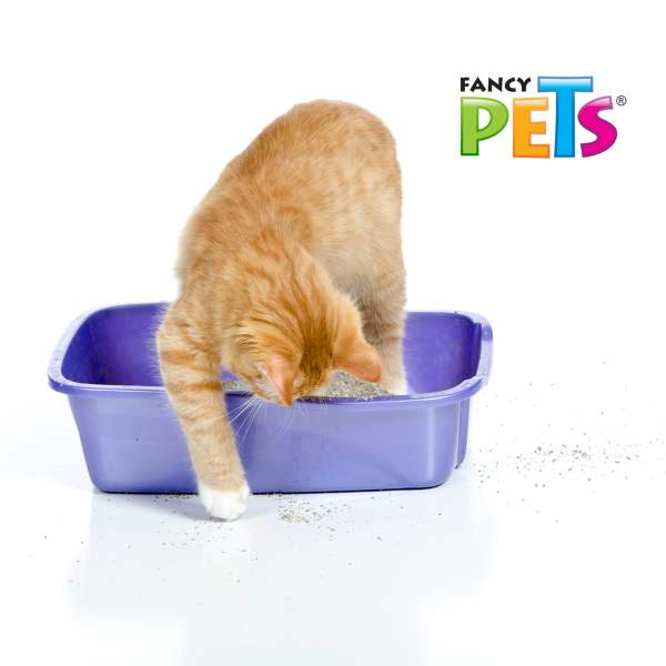  Arena Gato 10kgAglutinante Alto Rendimiento Bentonita