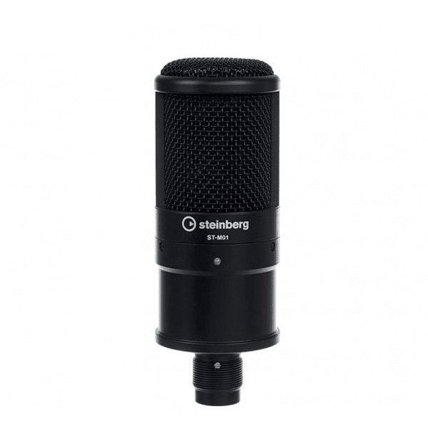 Paquete Grabación Audifonos Microfono Ur22crpack Steinberg