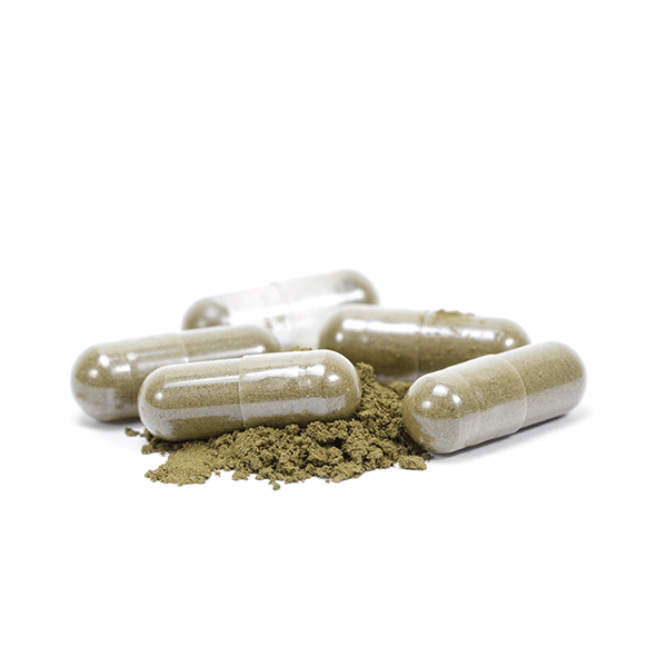 Equinácea NaTerra 60 capsulas