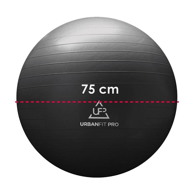 Pelota de Yoga 75 cm Soporta 450 kg CrossFit Negro