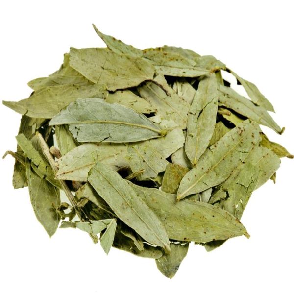 Té Sén 100% Natural 1 Kg