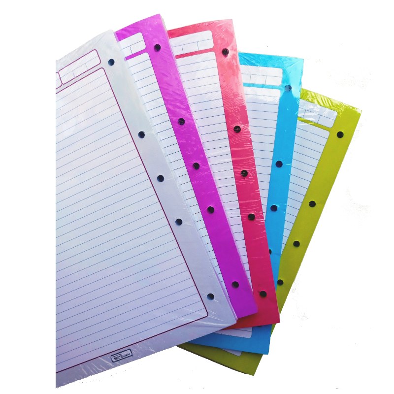 Hojas De Repuesto Para Carpeta 500 Hojas - 100 Hojas Por Color