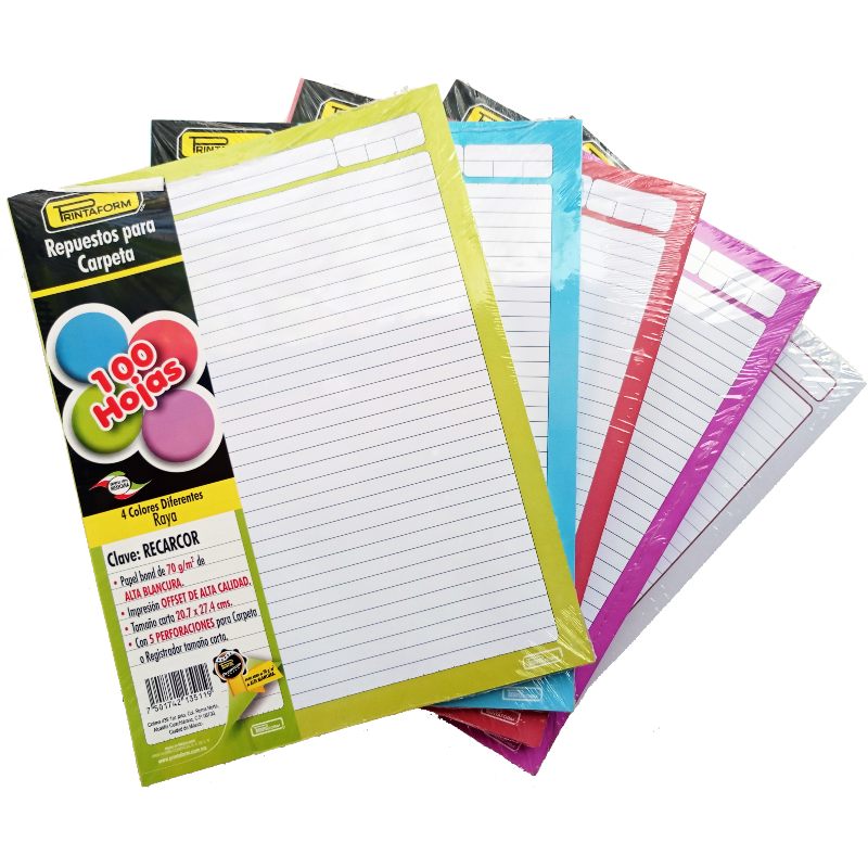 Hojas De Repuesto Para Carpeta 500 Hojas - 100 Hojas Por Color