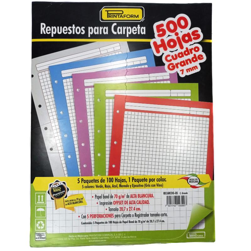 Hojas De Repuesto Para Carpeta 500 Hojas - 100 Hojas Por Color