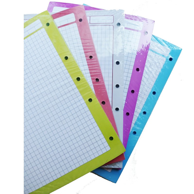 Hojas De Repuesto Para Carpeta 500 Hojas - 100 Hojas Por Color