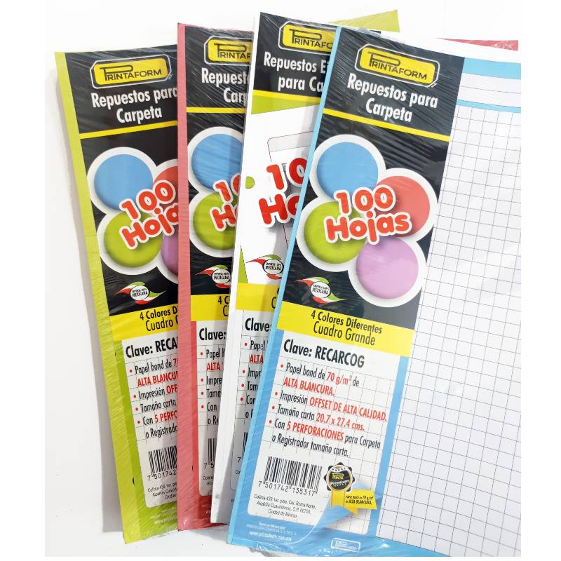 Hojas De Repuesto Para Carpeta 500 Hojas - 100 Hojas Por Color