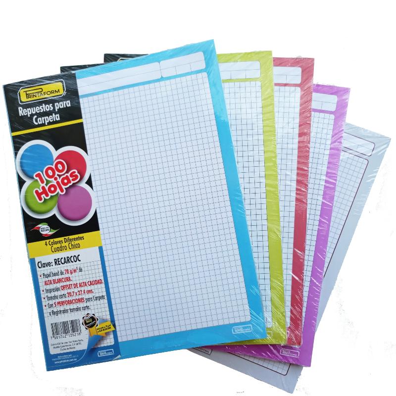 Hojas De Repuesto Para Carpeta 500 Hojas - 100 Hojas Por Color