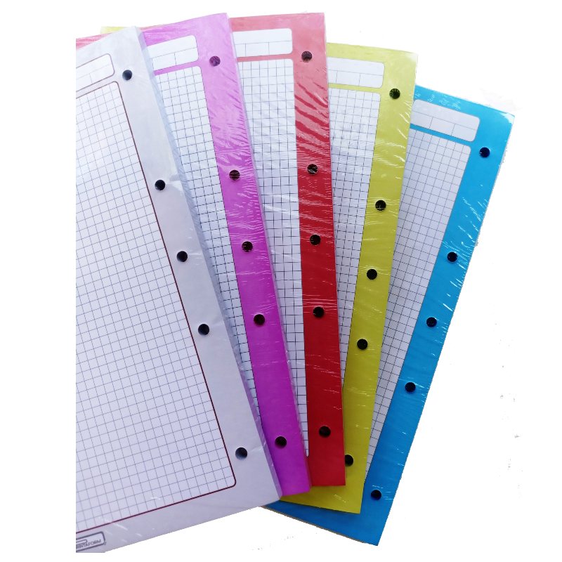 Hojas De Repuesto Para Carpeta 500 Hojas - 100 Hojas Por Color