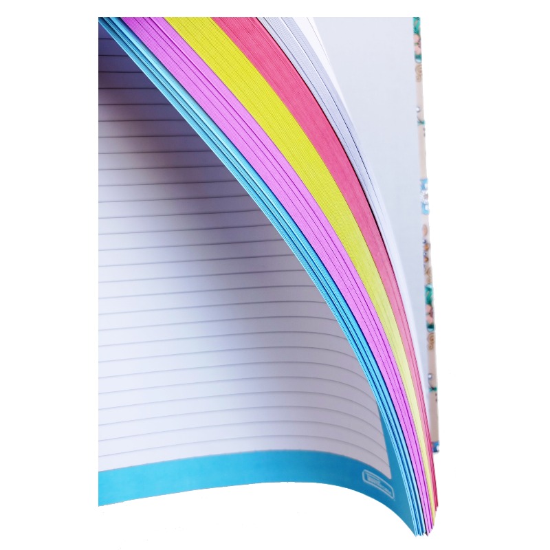 Libreta Universitaria Con 200 Hojas En 5 Diferentes Colores 5 Materias