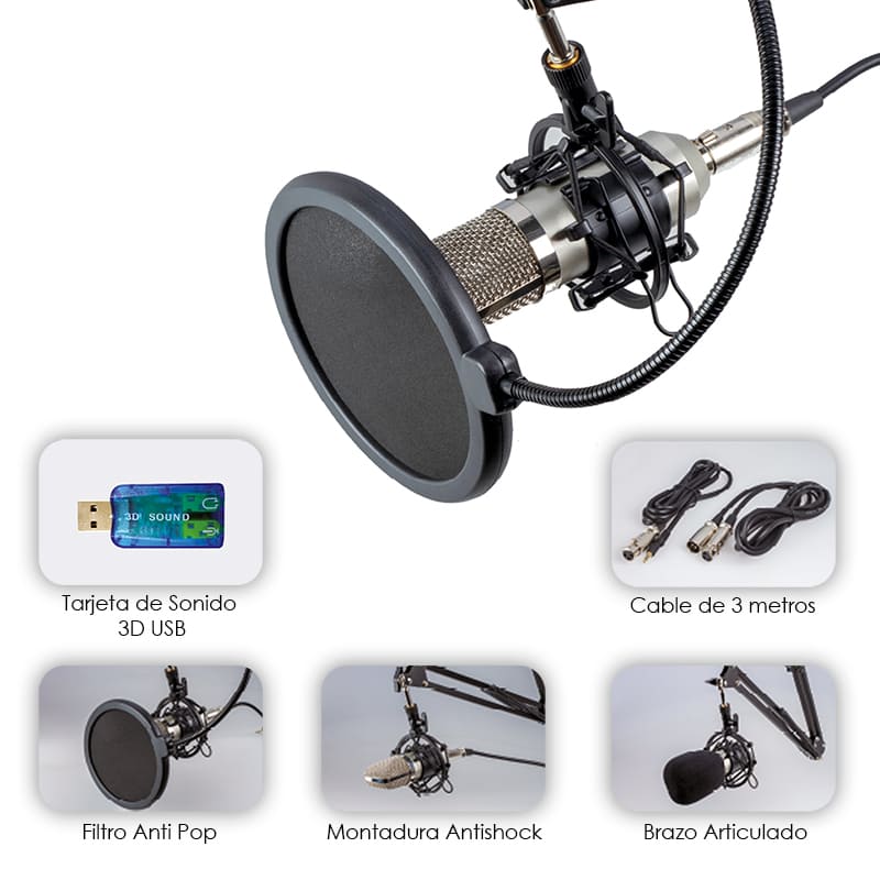 Microfono Profesional Cardioide Condensador Unidireccional De Alta Sensibilidad Con Eco- Steelpro 