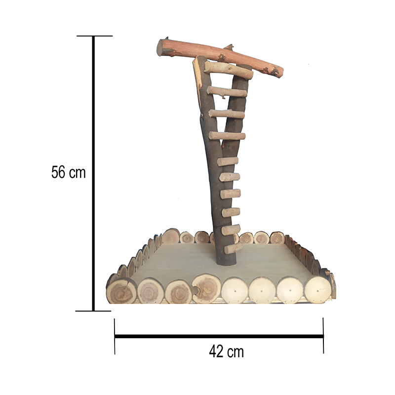 Percha para loros y aves, juguete para aves