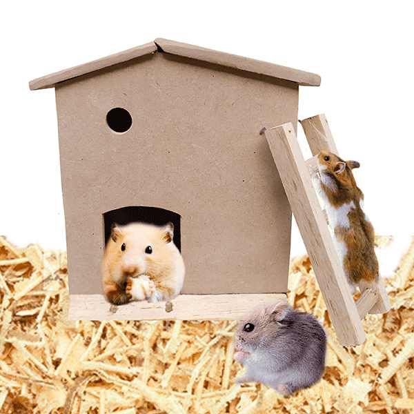 Casa para hámster y roedores