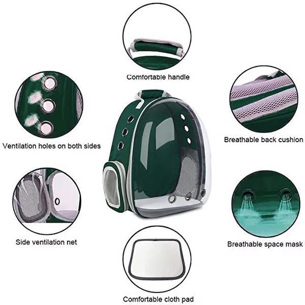 Mochila Transportadora De Moda Para Animales Perros Y Gatos// Verde