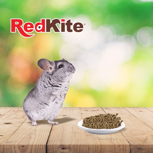 Redkite Alimento Para Chinchilla 1 Kg