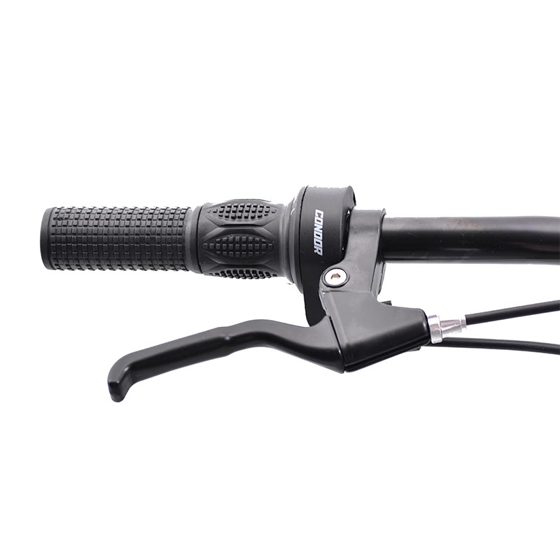 Bicicleta Veloci Riot Rodada 29 Negro De Montaña