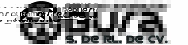 REPUESTOS AUTOMOTRICES BURA S DE RL DE CV