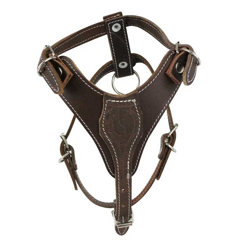 Pechera Para Perro De Piel, Razas Media-grande, L o #5 , Mod. 2