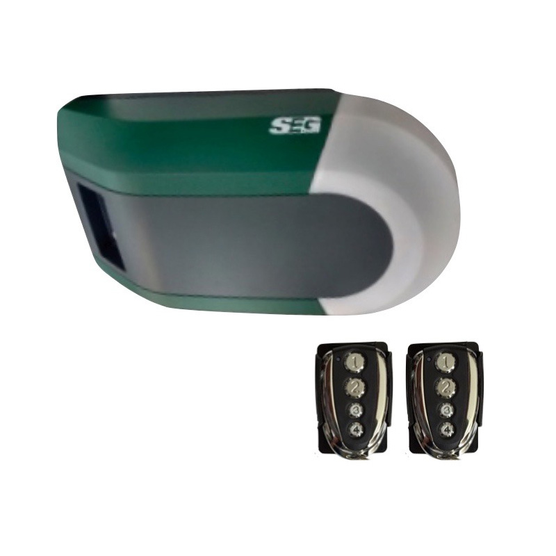 SEG MOTOR DE CADENA RT1000 RIEL