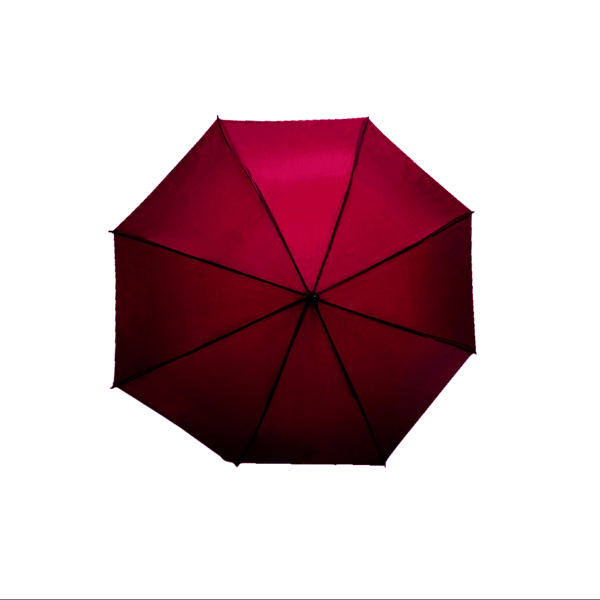 Paraguas De Mayoreo 6 Pz Bastón Semiautomática Económica
