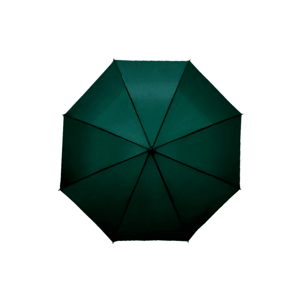 Paraguas De Mayoreo 6 Pz Bastón Semiautomática Económica