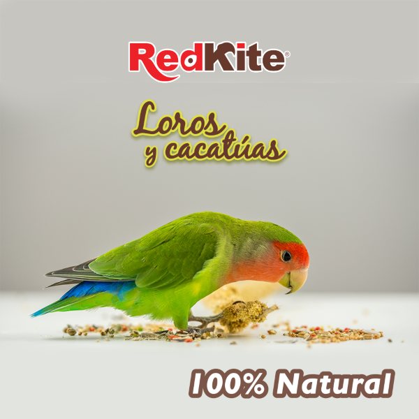 MEZCLA DE SEMILLAS PARA LOROS Y CACATUAS 500 G