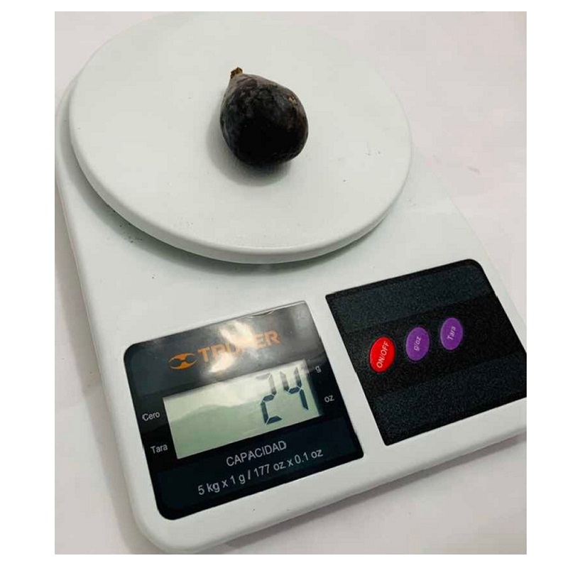 BASCULA DIGITAL PRECISA EXACTA GRAMERA  DE 1 GRAMO A 5 KG COCINA para ALIMENTOS BASE-5EP TRUPER