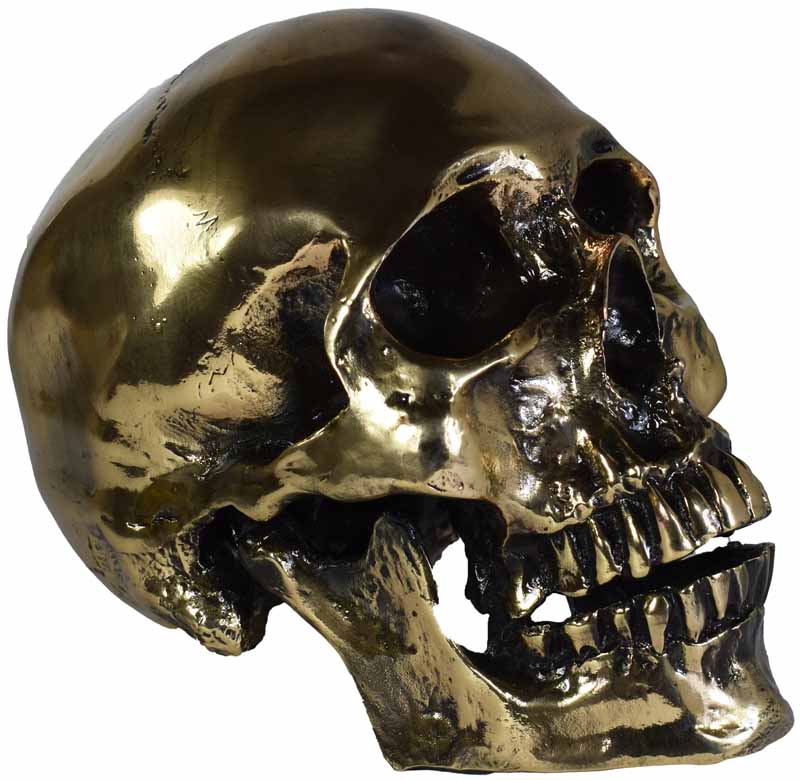 Cráneo Humano 1:1 Bronce Pulido Calavera Decorativa Arte Quetzal