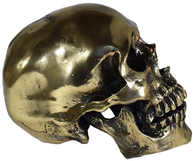 Cráneo Humano 1:1 Bronce Pulido Calavera Decorativa Arte Quetzal