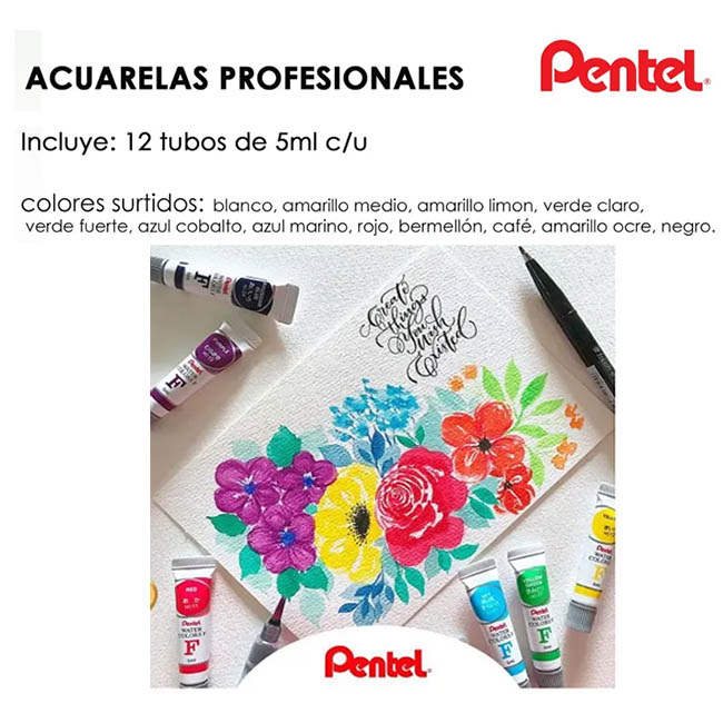 Caja con 12 Acuarelas Liquidas en Tubo Profesionales Para Arte Pentel