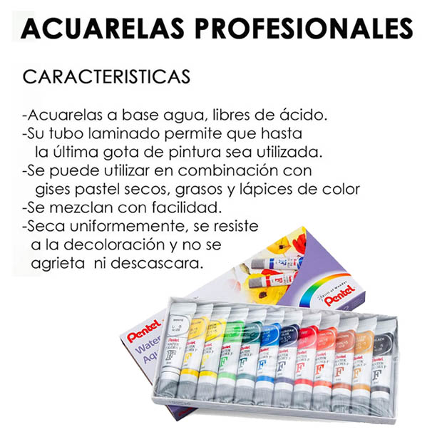 Caja con 12 Acuarelas Liquidas en Tubo Profesionales Para Arte Pentel